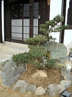 人目を楽しませてこそ、その冥利につきるでしょう。